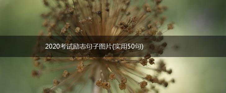 2020考试励志句子图片(实用50句),第1张