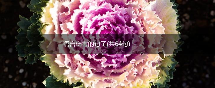语言伤害的句子(共64句),第1张