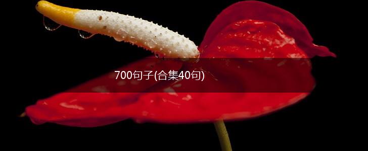 700句子(合集40句),第1张