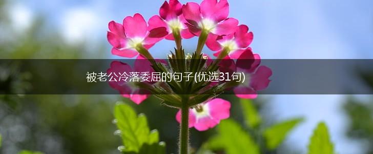 被老公冷落委屈的句子(优选31句),第1张