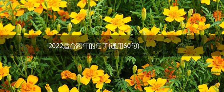 2022适合跨年的句子(通用60句),第1张