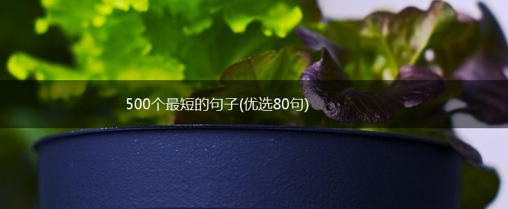 500个最短的句子(优选80句),第1张