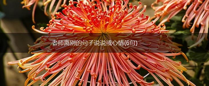 老师离别的句子说说或心情(6句),第1张
