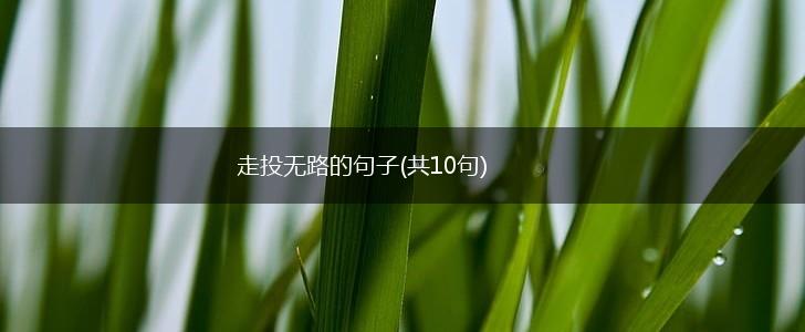 走投无路的句子(共10句),第1张