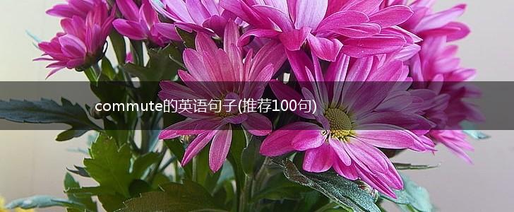 commute的英语句子(推荐100句),第1张