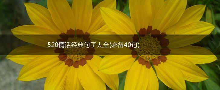 520情话经典句子大全(必备40句),第1张