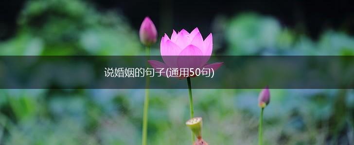 说婚姻的句子(通用50句),第1张
