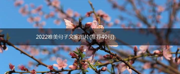 2022唯美句子文案图片(推荐40句),第1张