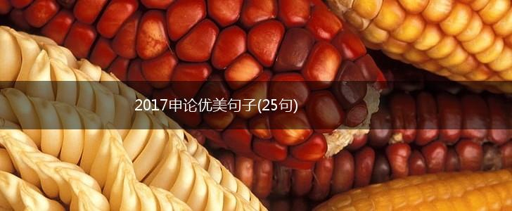 2017申论优美句子(25句),第1张