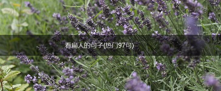 看扁人的句子(热门97句),第1张