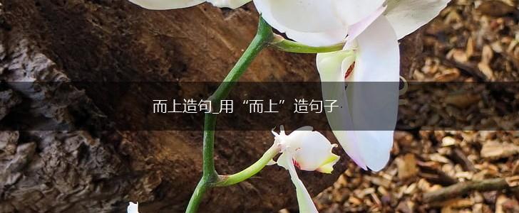 而上造句_用“而上”造句子,第1张