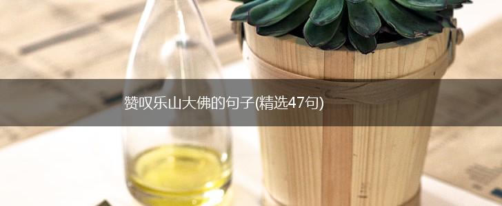 赞叹乐山大佛的句子(精选47句),第1张