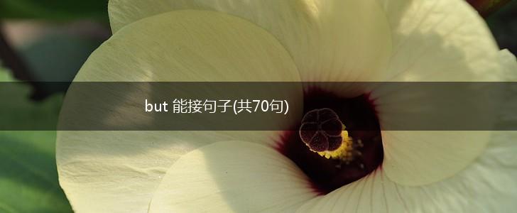 but 能接句子(共70句),第1张