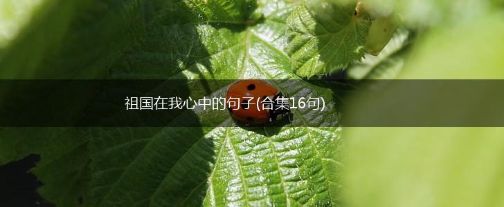 祖国在我心中的句子(合集16句),第1张