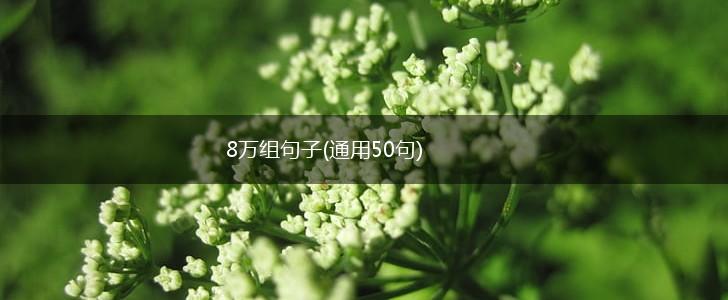 8万组句子(通用50句),第1张