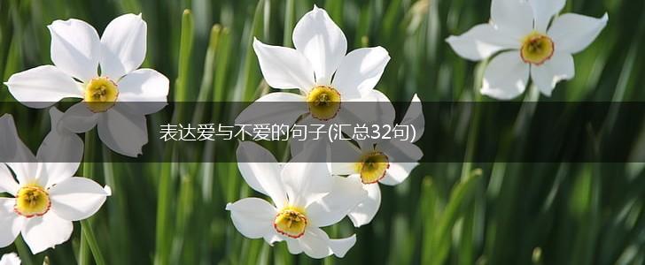 表达爱与不爱的句子(汇总32句),第1张