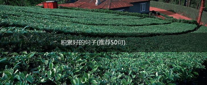积累好的句子(推荐50句),第1张