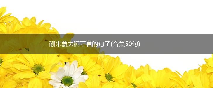 翻来覆去睡不着的句子(合集50句),第1张