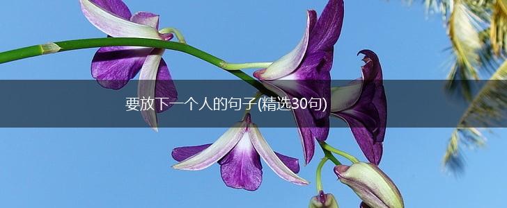 要放下一个人的句子(精选30句),第1张