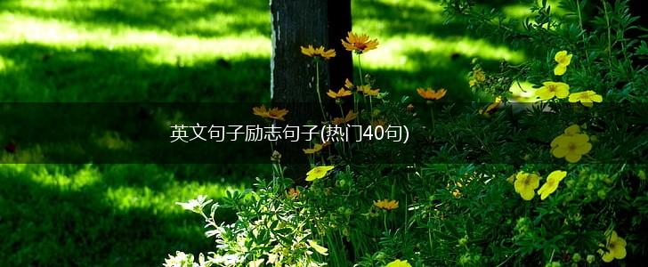 英文句子励志句子(热门40句),第1张