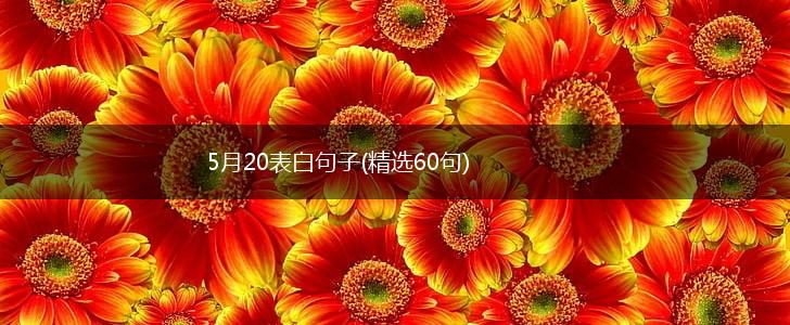 5月20表白句子(精选60句),第1张