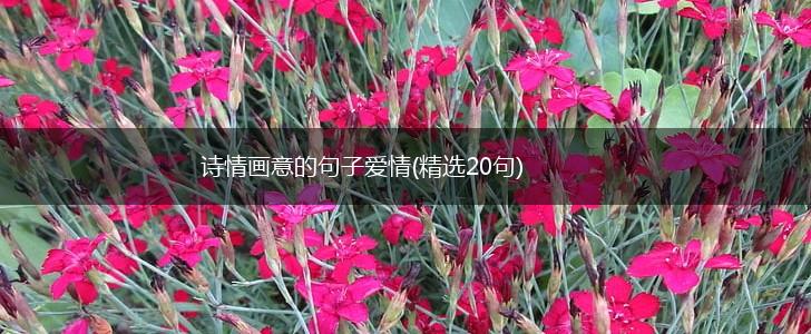 诗情画意的句子爱情(精选20句),第1张