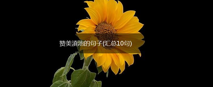 赞美滇池的句子(汇总10句),第1张