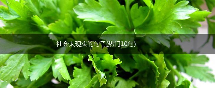 社会太现实的句子(热门10句),第1张