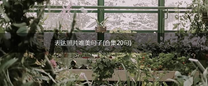 表达照片唯美句子(合集20句),第1张