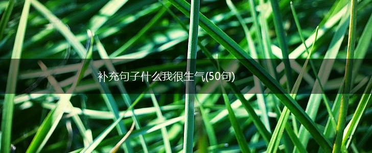 补充句子什么我很生气(50句),第1张