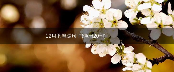12月的温暖句子(通用20句),第1张