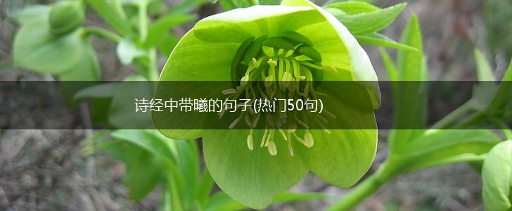 诗经中带曦的句子(热门50句),第1张