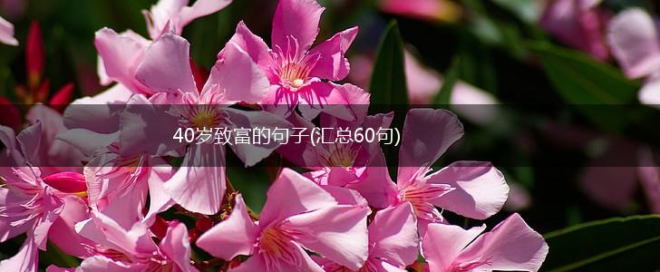 40岁致富的句子(汇总60句),第1张