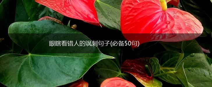 眼瞎看错人的讽刺句子(必备50句),第1张