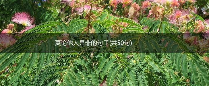 莫论他人是非的句子(共50句),第1张