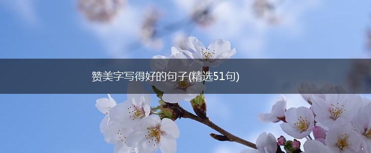 赞美字写得好的句子(精选51句),第1张