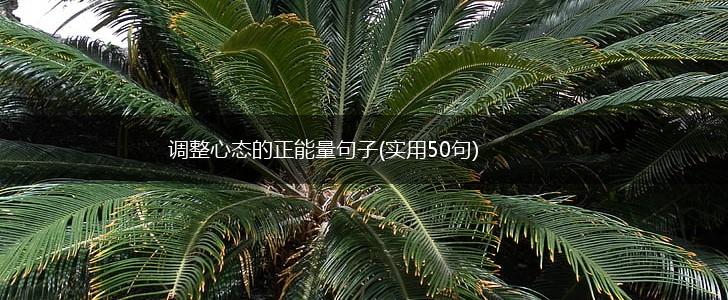 调整心态的正能量句子(实用50句),第1张