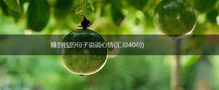 赚到钱的句子说说心情(汇总40句),第1张