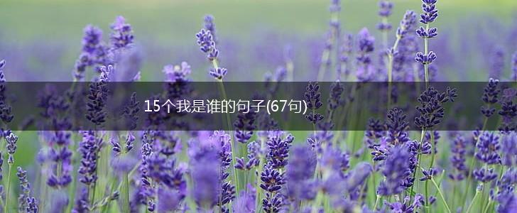 15个我是谁的句子(67句),第1张