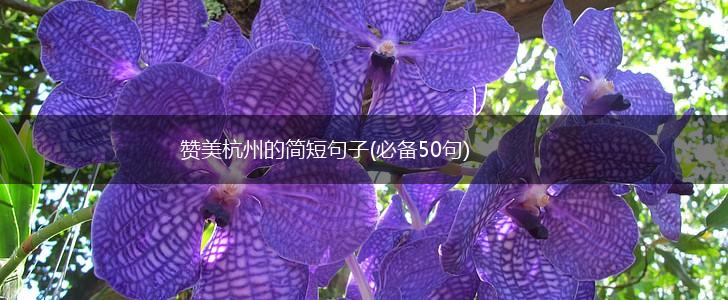 赞美杭州的简短句子(必备50句),第1张