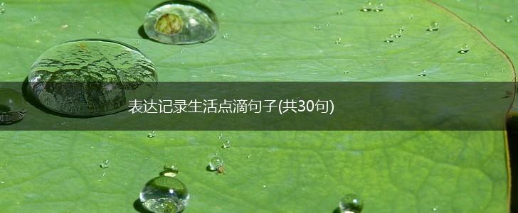 表达记录生活点滴句子(共30句),第1张