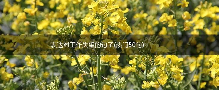 表达对工作失望的句子(热门50句),第1张