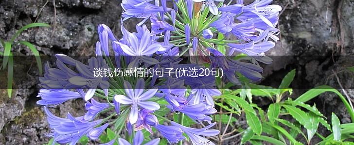 谈钱伤感情的句子(优选20句),第1张