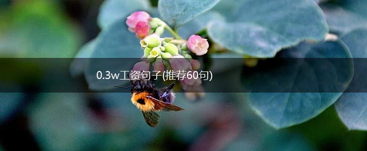 0.3w工资句子(推荐60句),第1张