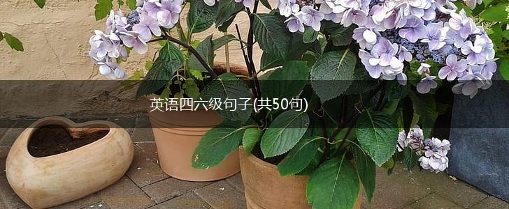 英语四六级句子(共50句),第1张