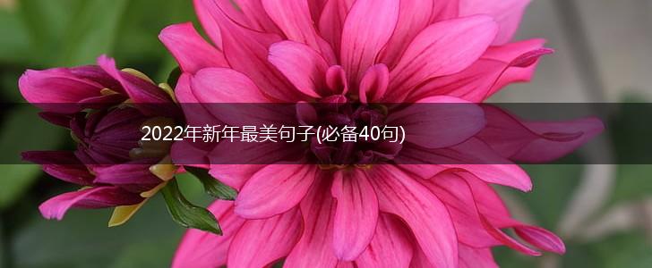 2022年新年最美句子(必备40句),第1张