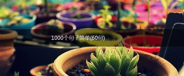 1000个句子简单(60句),第1张