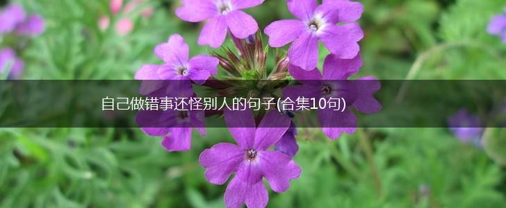 自己做错事还怪别人的句子(合集10句),第1张
