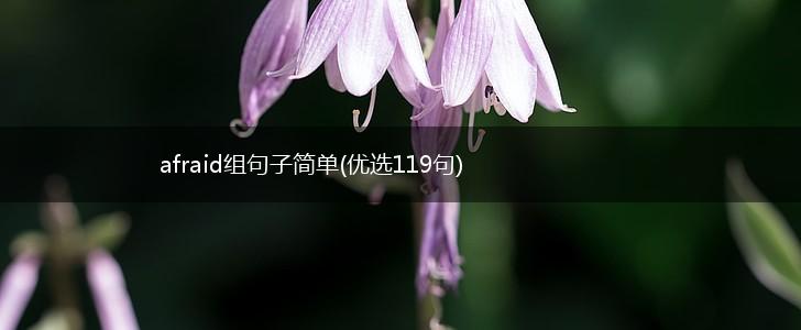 afraid组句子简单(优选119句),第1张