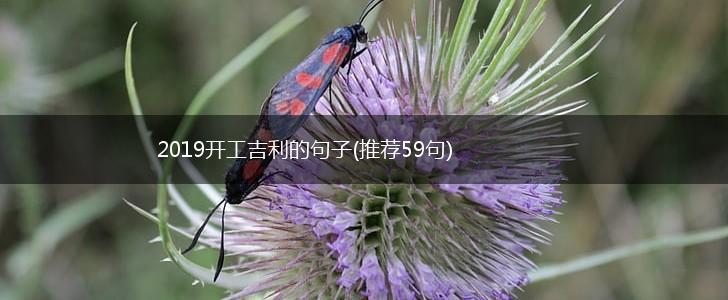 2019开工吉利的句子(推荐59句),第1张
